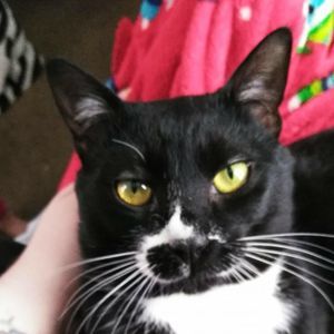 Meet your Posher, Jerry